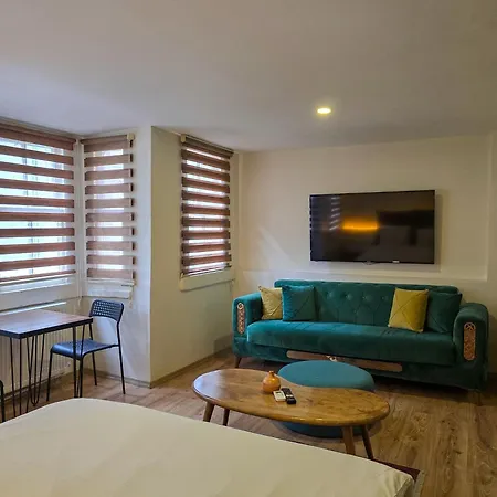 酒店 Karakoy Port House 伊斯坦布尔