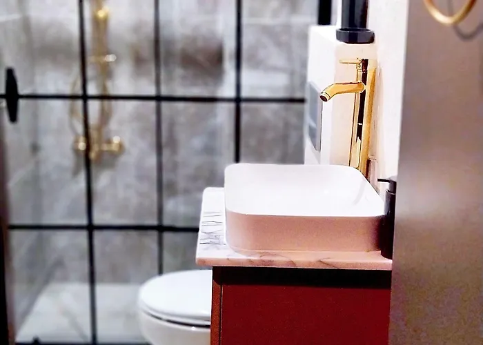 酒店 Karakoy Port House 伊斯坦布尔