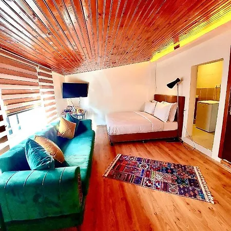 Karakoy Port House 호텔 3*