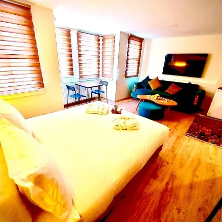 Karakoy Port House 酒店 3*