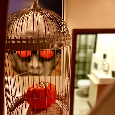 Karakoy Port House Otel İstanbul